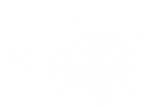 AquaFun_Logo_White